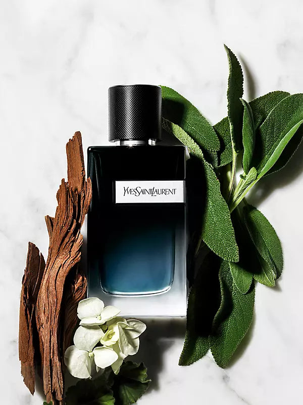 YSL perfume supplier link